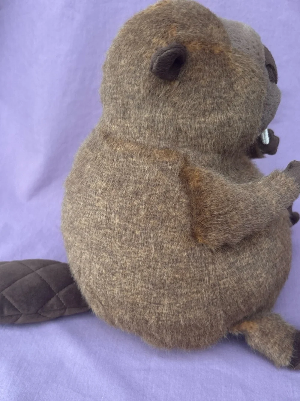 Exclusive Jellycat BRIGGS BEAVER Canada NWT brown softy HTF